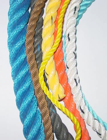 Corde1