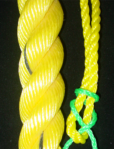 Corde6